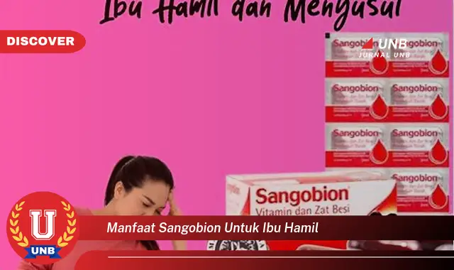manfaat sangobion untuk ibu hamil manfaat sangobion untuk ibu hamil