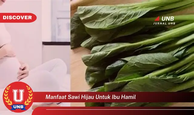 manfaat sawi hijau untuk ibu hamil