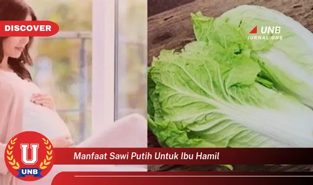 manfaat sawi putih untuk ibu hamil manfaat sawi putih untuk ibu hamil