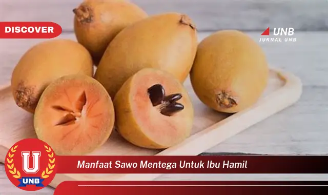 manfaat sawo mentega untuk ibu hamil manfaat sawo mentega untuk ibu hamil
