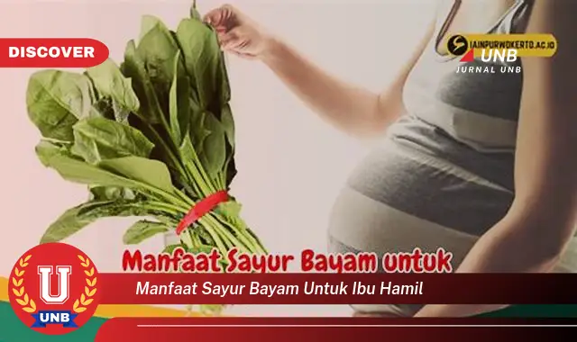 manfaat sayur bayam untuk ibu hamil manfaat sayur bayam untuk ibu hamil
