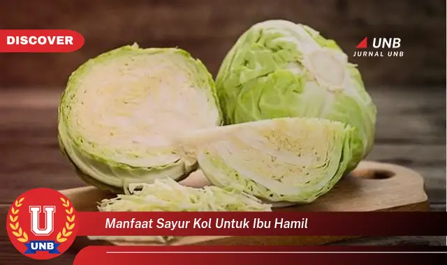 manfaat sayur kol untuk ibu hamil manfaat sayur kol untuk ibu hamil
