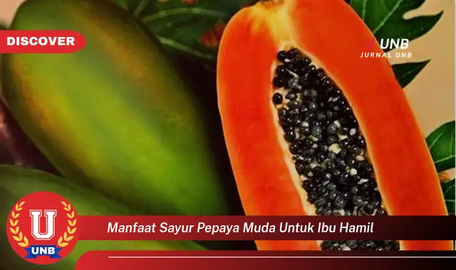 manfaat sayur pepaya muda untuk ibu hamil