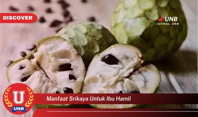 manfaat srikaya untuk ibu hamil