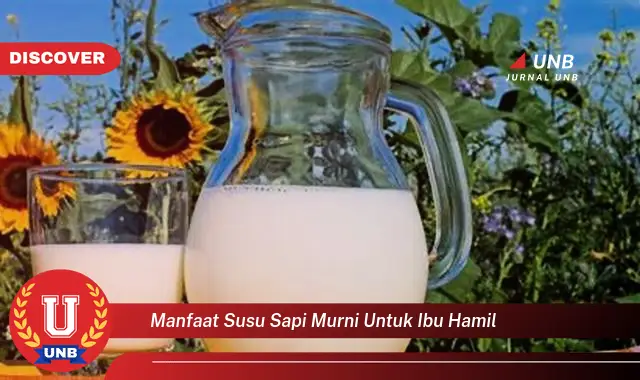 manfaat susu sapi murni untuk ibu hamil