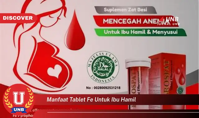 manfaat tablet fe untuk ibu hamil