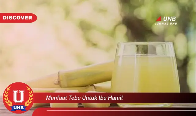 manfaat tebu untuk ibu hamil