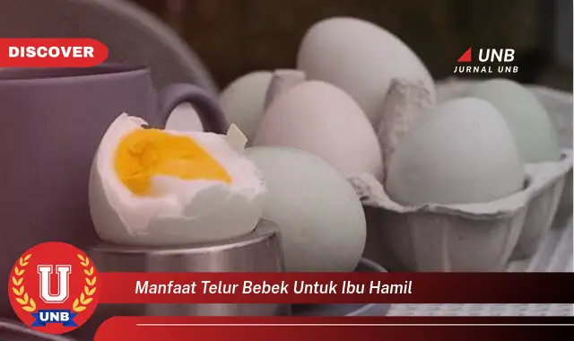 manfaat telur bebek untuk ibu hamil manfaat telur bebek untuk ibu hamil