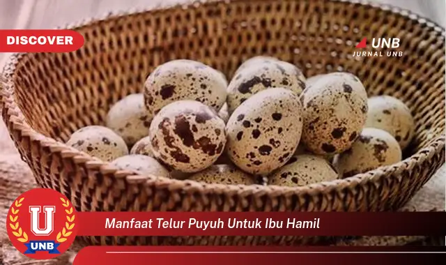 manfaat telur puyuh untuk ibu hamil