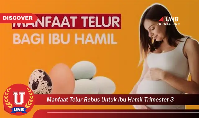 manfaat telur rebus untuk ibu hamil trimester 3 manfaat telur rebus untuk ibu hamil trimester 3