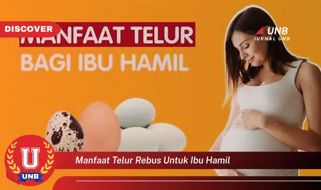 manfaat telur rebus untuk ibu hamil