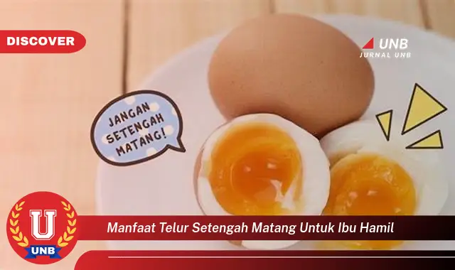 manfaat telur setengah matang untuk ibu hamil manfaat telur setengah matang untuk ibu hamil