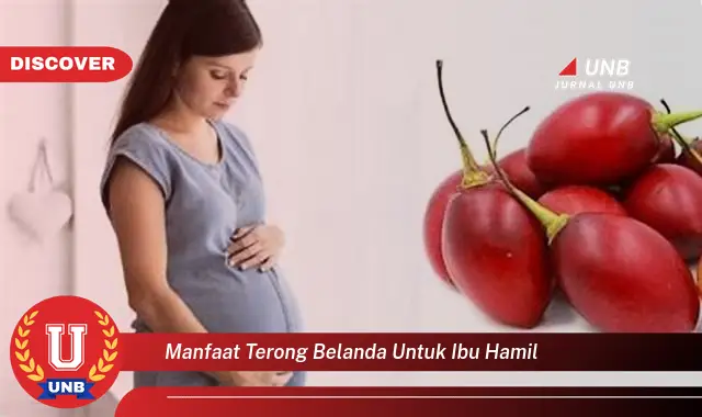 manfaat terong belanda untuk ibu hamil