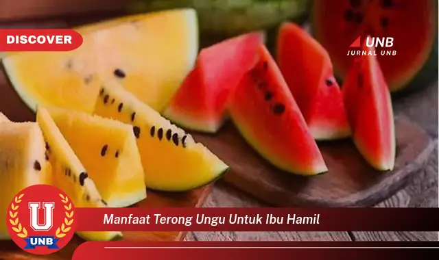 manfaat terong ungu untuk ibu hamil