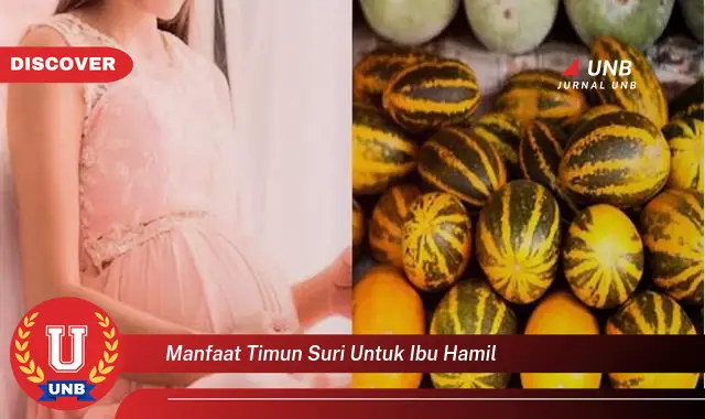 manfaat timun suri untuk ibu hamil