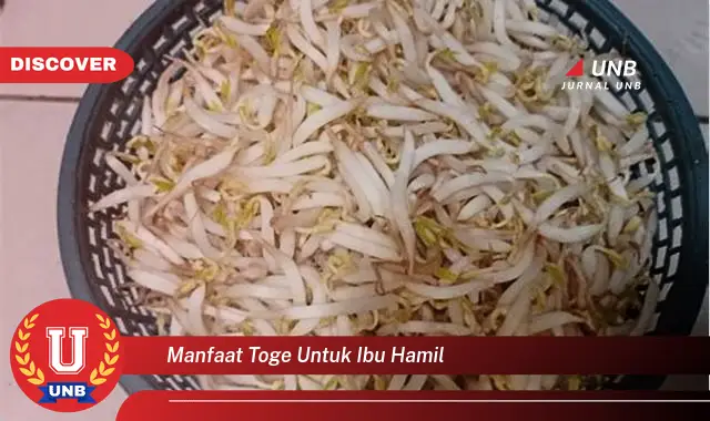 manfaat toge untuk ibu hamil