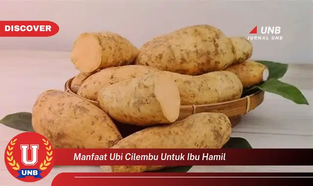 manfaat ubi cilembu untuk ibu hamil manfaat ubi cilembu untuk ibu hamil