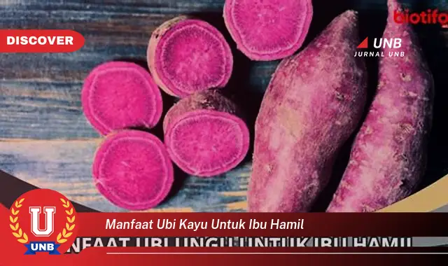 Ketahui 6 Manfaat Ubi Kayu untuk Ibu Hamil yang Wajib Kamu Intip