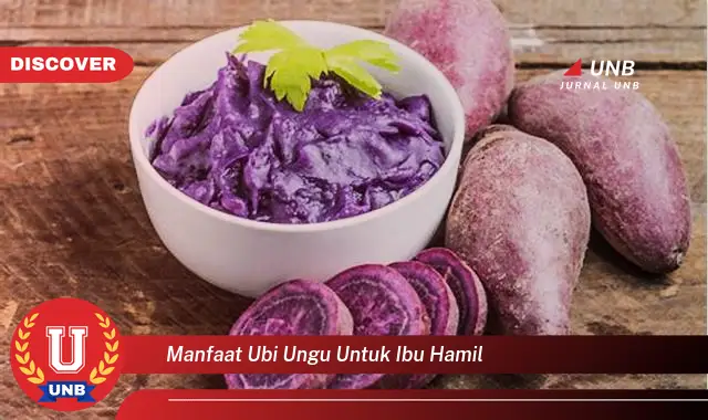 manfaat ubi ungu untuk ibu hamil