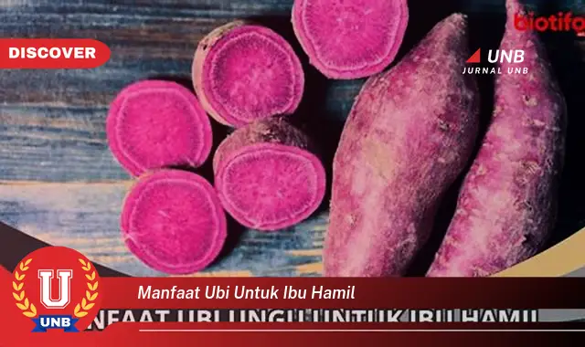 manfaat ubi untuk ibu hamil