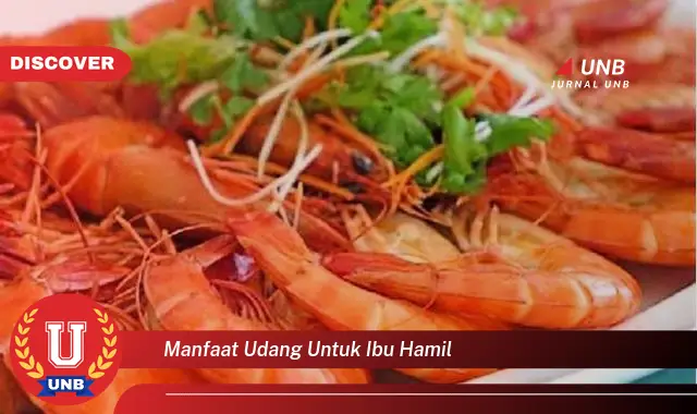 Temukan 6 Manfaat Udang Untuk Ibu Hamil Yang Jarang Diketahui