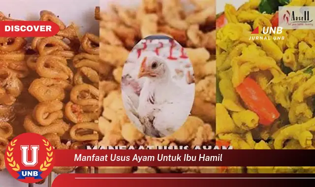 manfaat usus ayam untuk ibu hamil