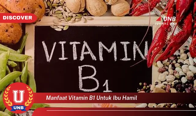 manfaat vitamin b1 untuk ibu hamil manfaat vitamin b1 untuk ibu hamil
