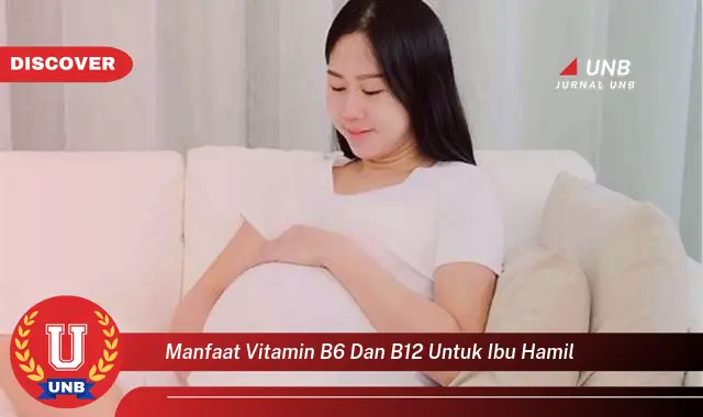 manfaat vitamin b6 dan b12 untuk ibu hamil