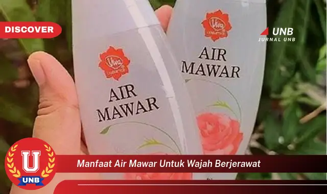 manfaat air mawar untuk wajah berjerawat