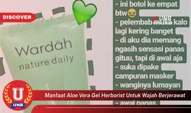 manfaat aloe vera gel herborist untuk wajah berjerawat manfaat aloe vera gel herborist untuk wajah berjerawat