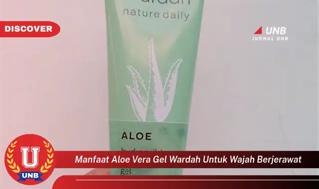 manfaat aloe vera gel wardah untuk wajah berjerawat