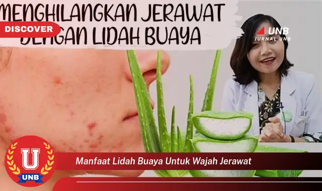 manfaat lidah buaya untuk wajah jerawat