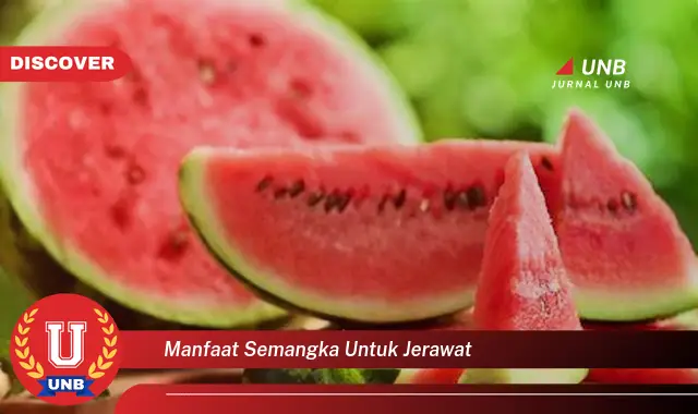 manfaat semangka untuk jerawat