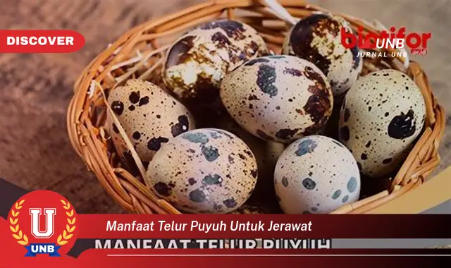 manfaat telur puyuh untuk jerawat manfaat telur puyuh untuk jerawat