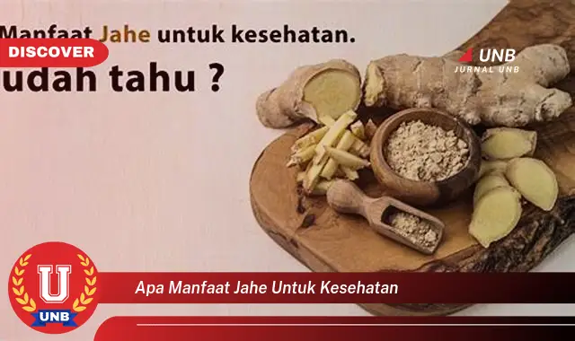 apa manfaat jahe untuk kesehatan