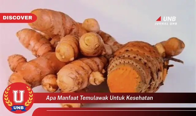 apa manfaat temulawak untuk kesehatan