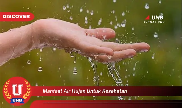 manfaat air hujan untuk kesehatan