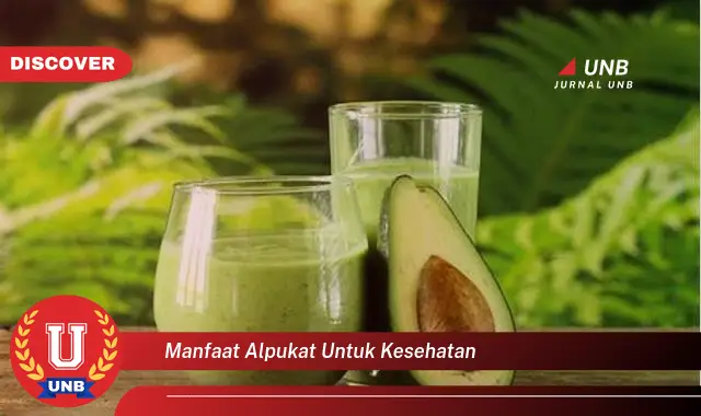 manfaat alpukat untuk kesehatan