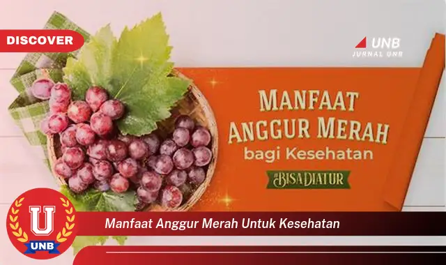 manfaat anggur merah untuk kesehatan