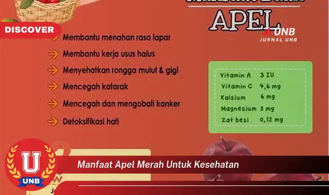 manfaat apel merah untuk kesehatan