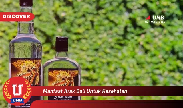 manfaat arak bali untuk kesehatan manfaat arak bali untuk kesehatan