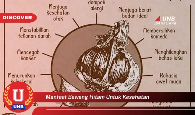 manfaat bawang hitam untuk kesehatan