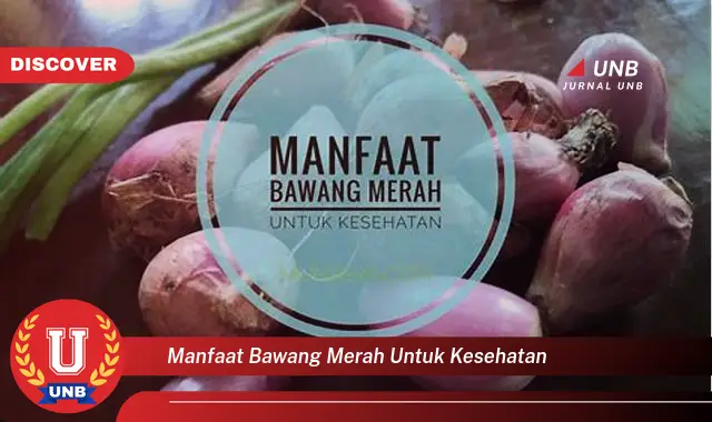 manfaat bawang merah untuk kesehatan