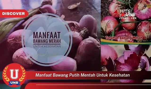 manfaat bawang putih mentah untuk kesehatan