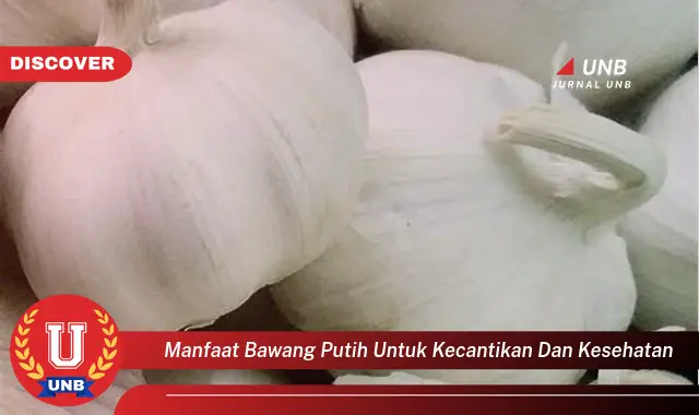 manfaat bawang putih untuk kecantikan dan kesehatan