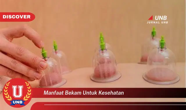 manfaat bekam untuk kesehatan manfaat bekam untuk kesehatan