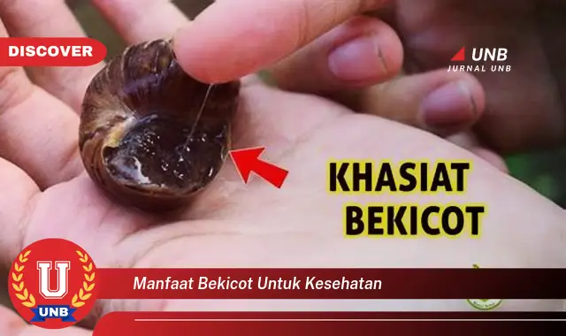 manfaat bekicot untuk kesehatan