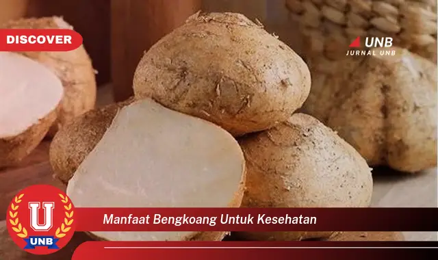 manfaat bengkoang untuk kesehatan manfaat bengkoang untuk kesehatan