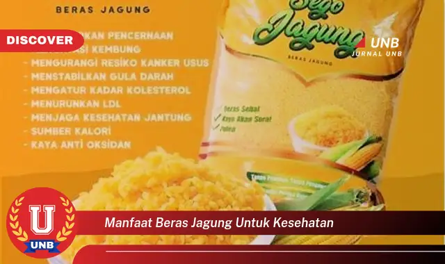 manfaat beras jagung untuk kesehatan manfaat beras jagung untuk kesehatan