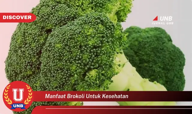 manfaat brokoli untuk kesehatan